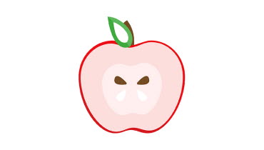 Ritat genomskuret äpple med två kärnor. Illustration Katja Vallin, SLSO