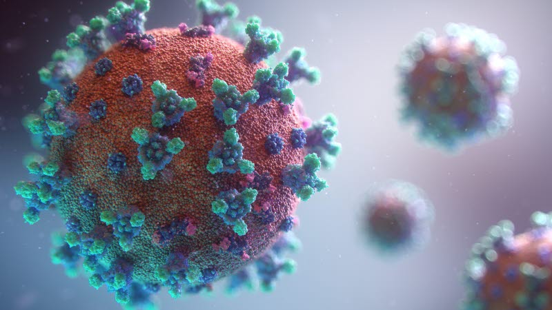Bild av coronaviruset