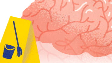 Städning i hjärnan, illustration