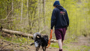 En man går i skogen med en hund