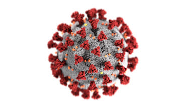 en bild på ett coronavirus