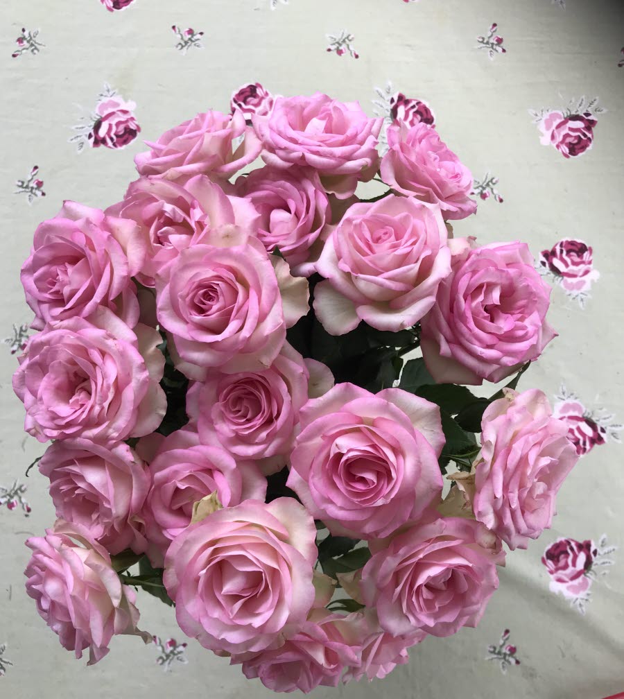Bild på blommor