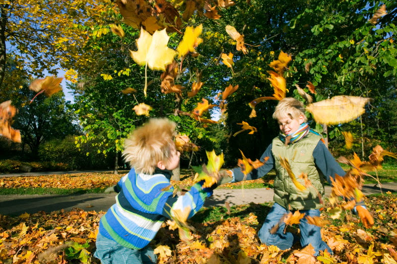 Barn som leker i park med virvlande höstlöv.