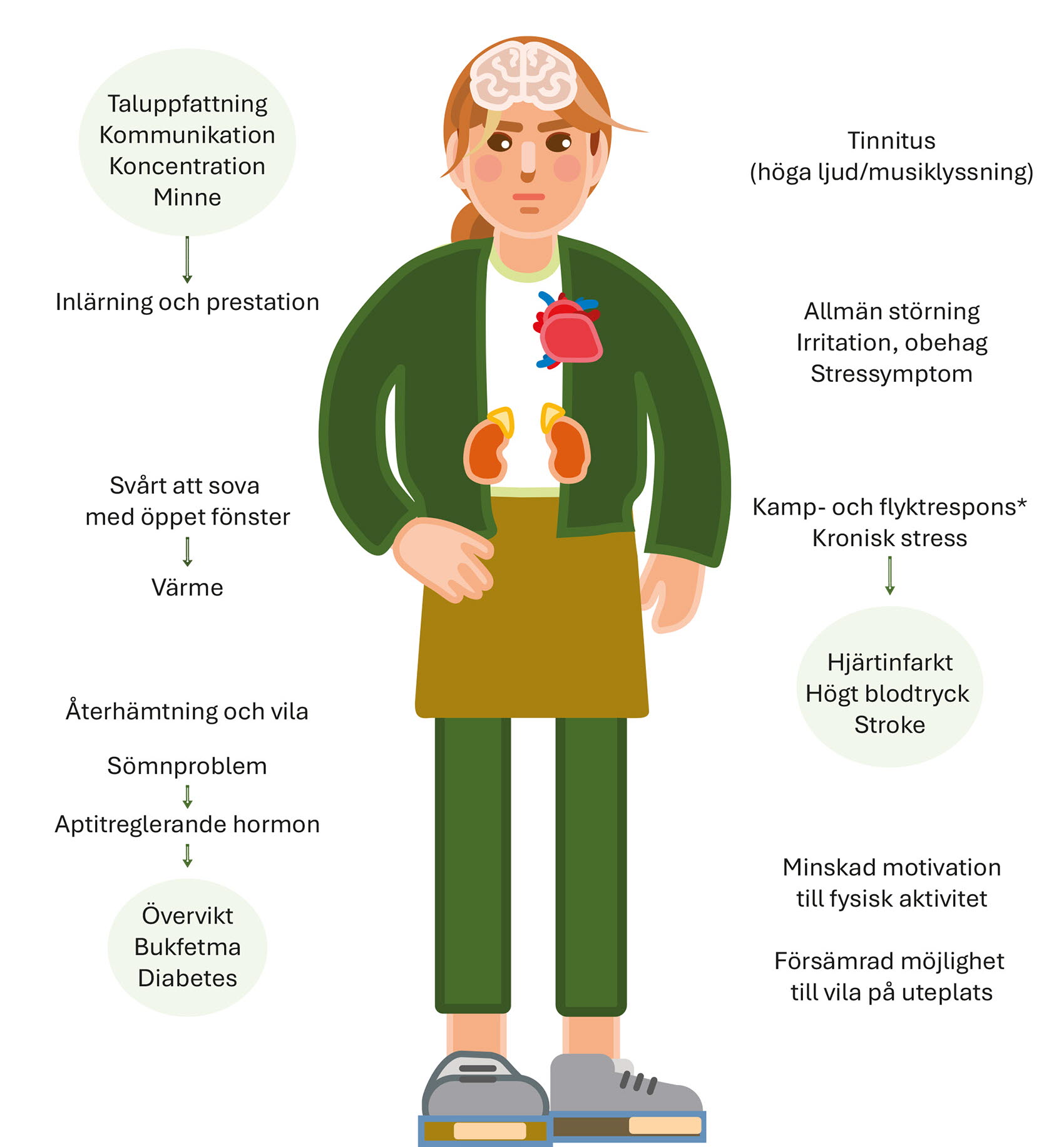 Illustration av bullrets hälsopåverkan. 