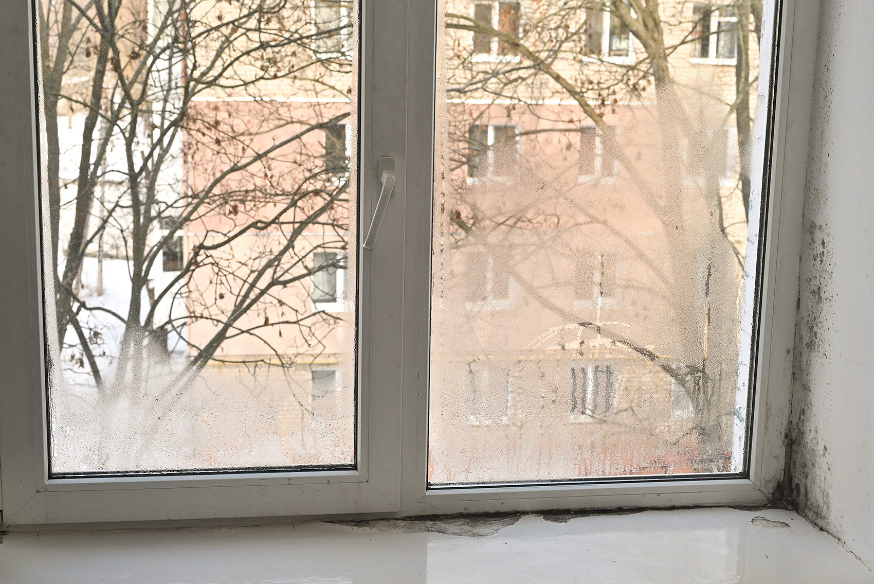 Fotografi av ett igenimmat fönster med mögel i karmen.