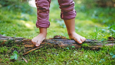 Ett barns bara fötter står på en stock i en skog. Foto: AdobeStock