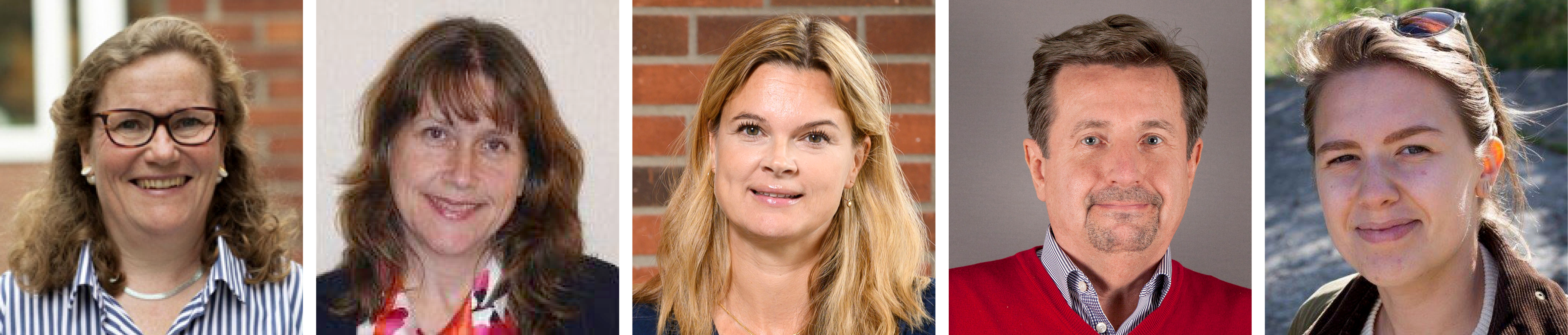 Porträtt av  Lena Palmberg, Karin Leander, Sofia Carlsson, Göran Pershagen och Anna Zettergren