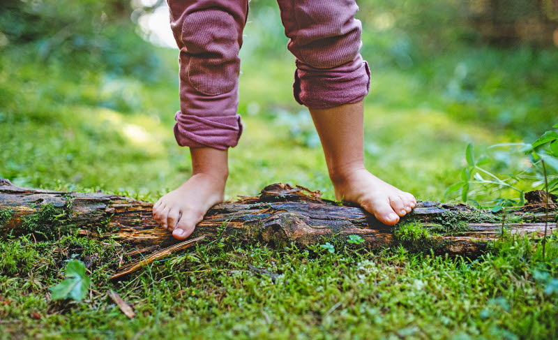 Ett barns bara fötter står på en stock i en skog. Foto: AdobeStock