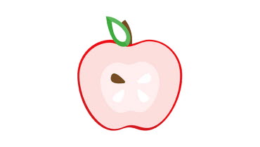 Ritat genomskuret äpple med en kärna. Illustration Katja Vallin, SLSO