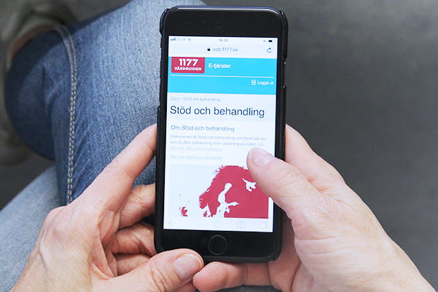 Behandling via nätet