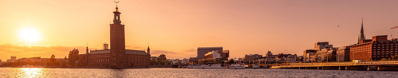 Stockholmsvy
