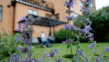 Innergård SCÄ