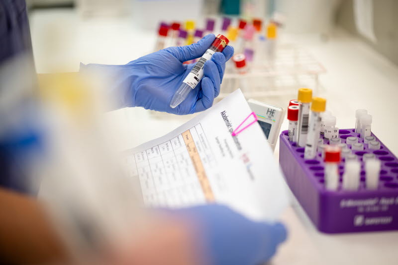 Ett par händer i plasthandskar håller i ett provrör och ett papper. På bänken bredvid står fler provrör. 