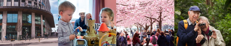 En bild på torsplan, en bild på två barn som leker, en bild på körsbärsträden i kungsträdgården och en bild på ett äldre par med kikare
